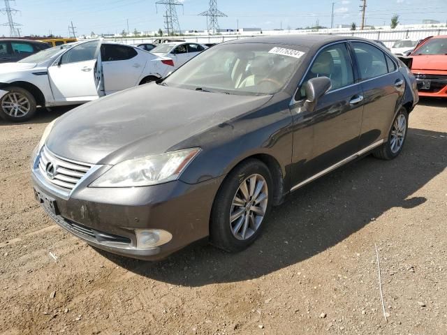 2011 Lexus ES 350