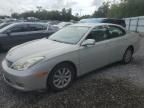 2004 Lexus ES 330