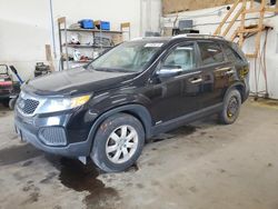 KIA salvage cars for sale: 2013 KIA Sorento LX