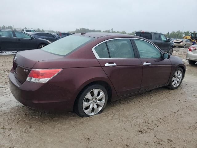 2010 Honda Accord EXL