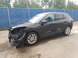 Salvage cars for sale at Moncton, NB auction: 2020 Ford Escape SE