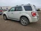 2008 Ford Escape Limited