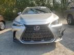 2024 Lexus NX 350H Base