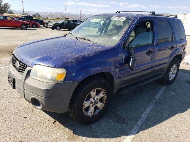 2005 Ford Escape XLT