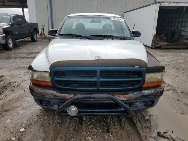 2001 Dodge Dakota