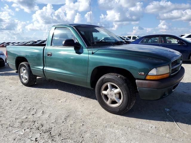 2000 Dodge Dakota