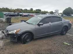 Salvage cars for sale at Hillsborough, NJ auction: 2009 Honda Accord EXL