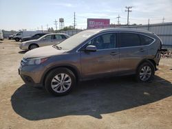 Salvage cars for sale at Chicago Heights, IL auction: 2014 Honda CR-V EXL