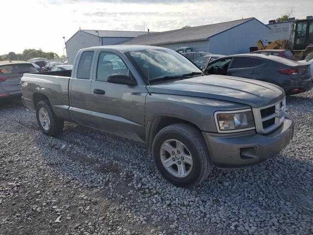 2010 Dodge Dakota SXT