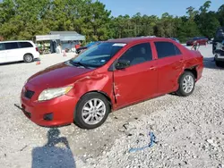 Salvage cars for sale at Houston, TX auction: 2010 Toyota Corolla Base