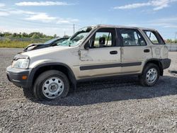 Salvage cars for sale at Ottawa, ON auction: 2000 Honda CR-V LX