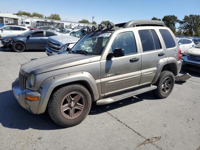 2003 Jeep Liberty Renegade