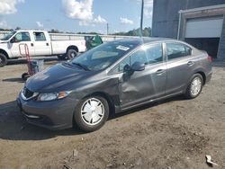 Salvage cars for sale at Fredericksburg, VA auction: 2013 Honda Civic HF