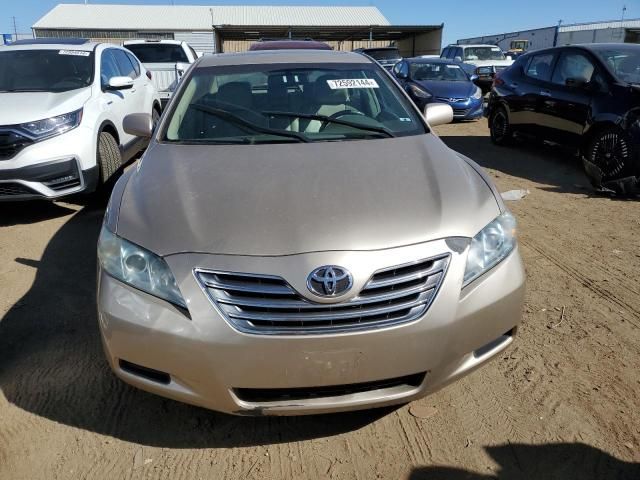 2008 Toyota Camry Hybrid