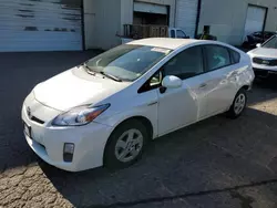 Toyota Prius salvage cars for sale: 2010 Toyota Prius