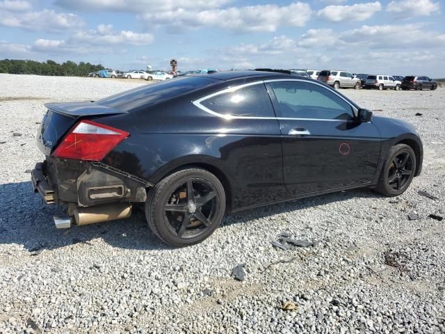 2009 Honda Accord EXL