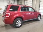 2008 Ford Escape Limited