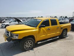 Dodge Dakota Vehiculos salvage en venta: 2009 Dodge Dakota SXT