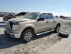 Salvage trucks for sale at New Orleans, LA auction: 2011 Ford F150 Supercrew