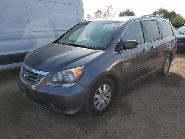 2010 Honda Odyssey EXL