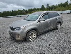 Salvage cars for sale at Windham, ME auction: 2014 KIA Sorento EX