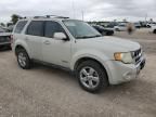 2008 Ford Escape Limited