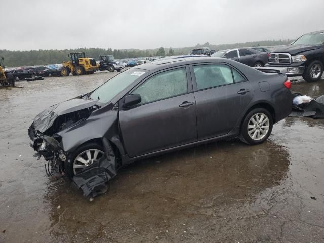 2009 Toyota Corolla Base