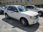 2010 Ford Escape XLS