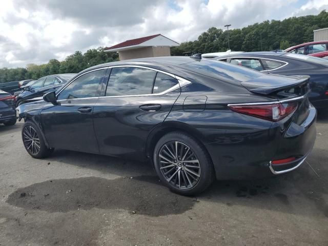 2024 Lexus ES 250 Base