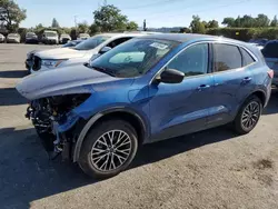 Salvage cars for sale at San Martin, CA auction: 2022 Ford Escape SE