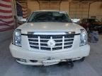 2007 Cadillac Escalade Luxury