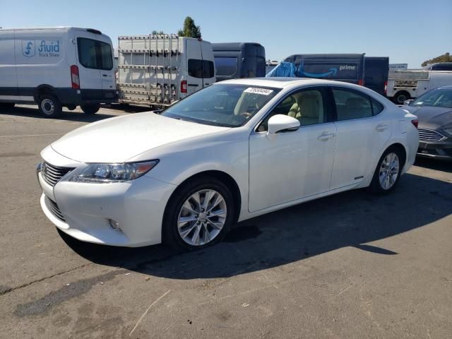 2013 Lexus ES 300H