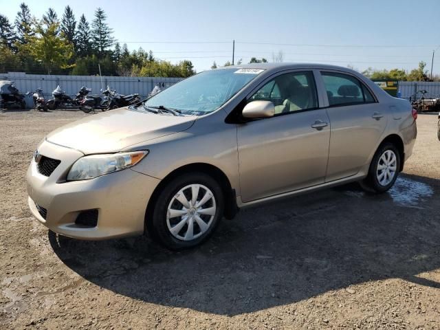 2009 Toyota Corolla Base