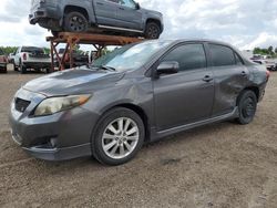 2010 Toyota Corolla Base en venta en Mercedes, TX