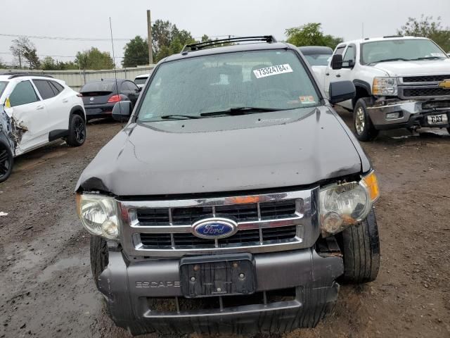 2011 Ford Escape XLT