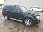 2008 Ford Escape Limited