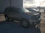 2008 Mazda Tribute I