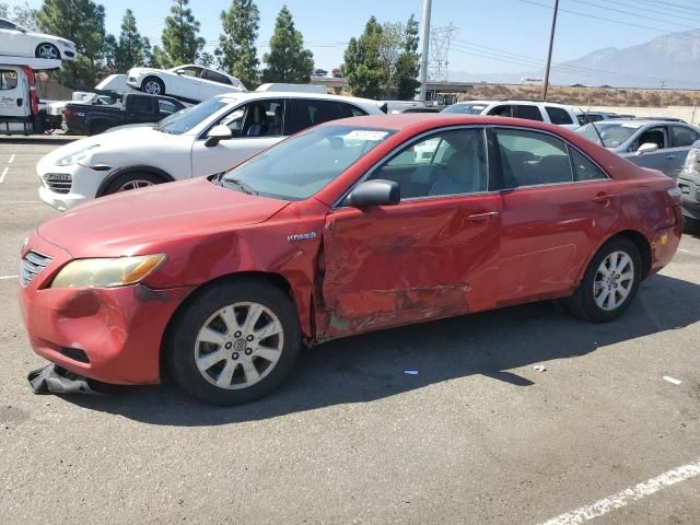 2009 Toyota Camry Hybrid