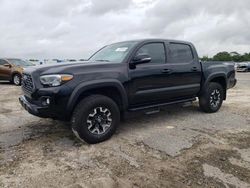 Salvage cars for sale at Jacksonville, FL auction: 2023 Toyota Tacoma Double Cab