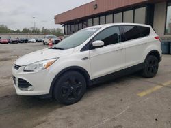 Salvage cars for sale at Fort Wayne, IN auction: 2014 Ford Escape SE