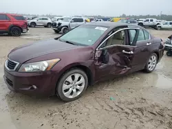 Honda Accord exl salvage cars for sale: 2010 Honda Accord EXL