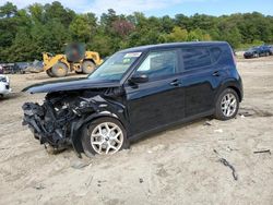 Salvage cars for sale at Seaford, DE auction: 2024 KIA Soul LX