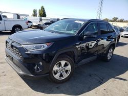 Salvage cars for sale at Hayward, CA auction: 2021 Toyota Rav4 XLE