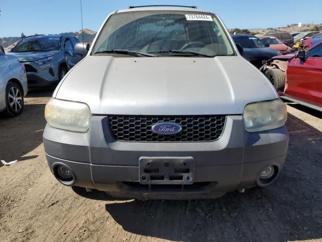 2006 Ford Escape XLT