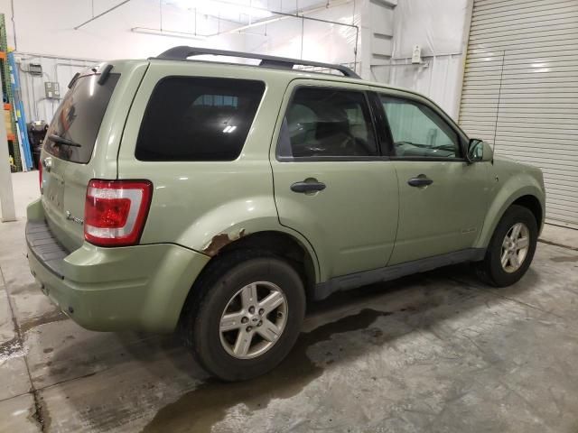 2008 Ford Escape HEV