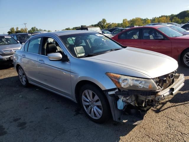 2011 Honda Accord EXL