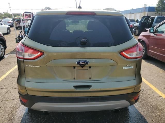 2014 Ford Escape SE