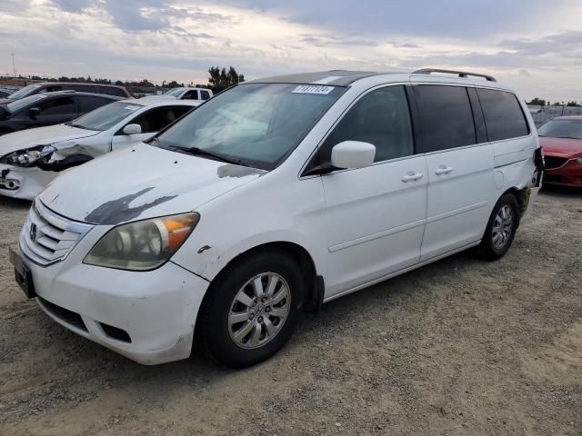 2008 Honda Odyssey EXL