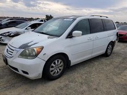 Salvage cars for sale at Antelope, CA auction: 2008 Honda Odyssey EXL