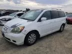 2008 Honda Odyssey EXL